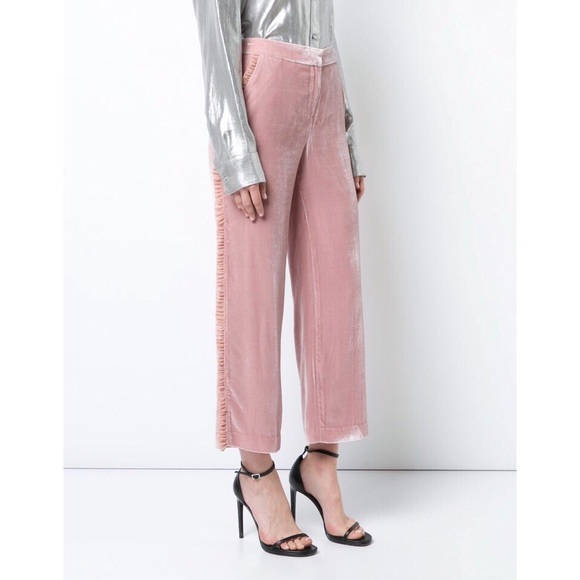 cinq a sept Pants - NWOT Cinq a Sept Blush Velvet Trousers